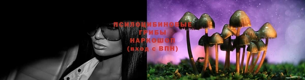 2c-b Остров