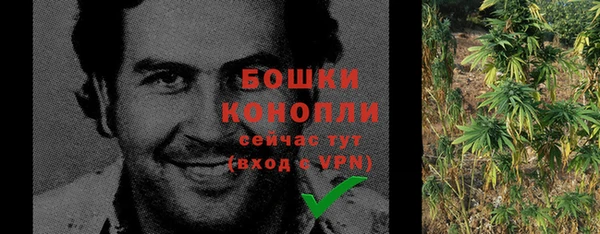Альфа ПВП Пересвет