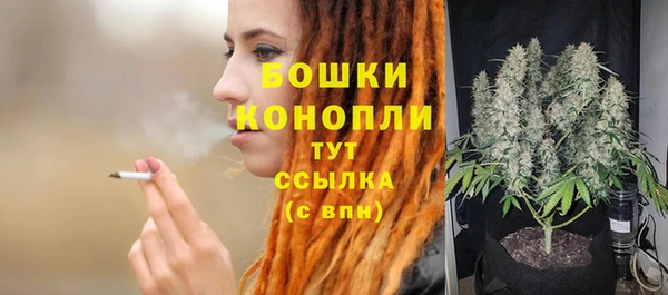 амф Переславль-Залесский